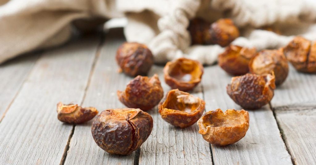 Soap Nuts Review Soap Nuts Review