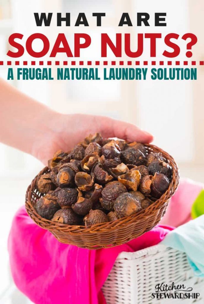 Soap Nuts Review