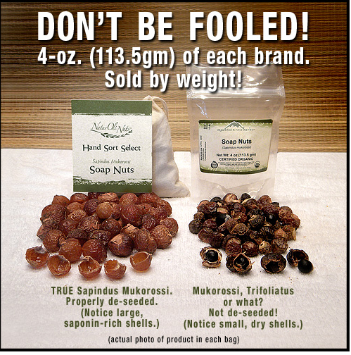 Soap Nuts Review